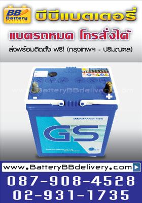 gs battery