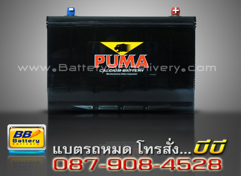 PUMA battery