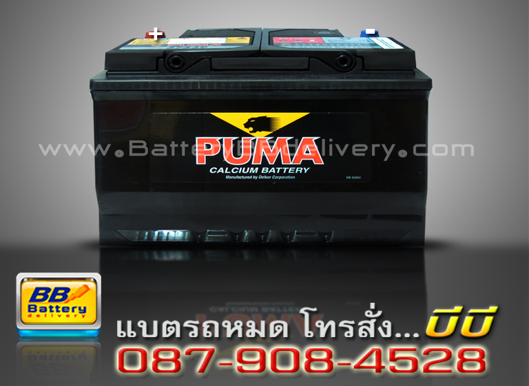 gs battery