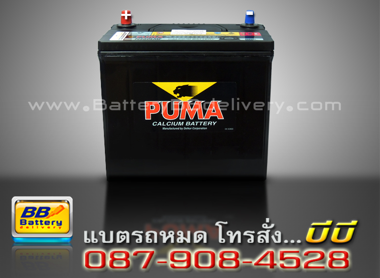 gs battery