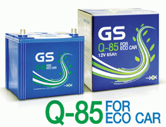 gs battery